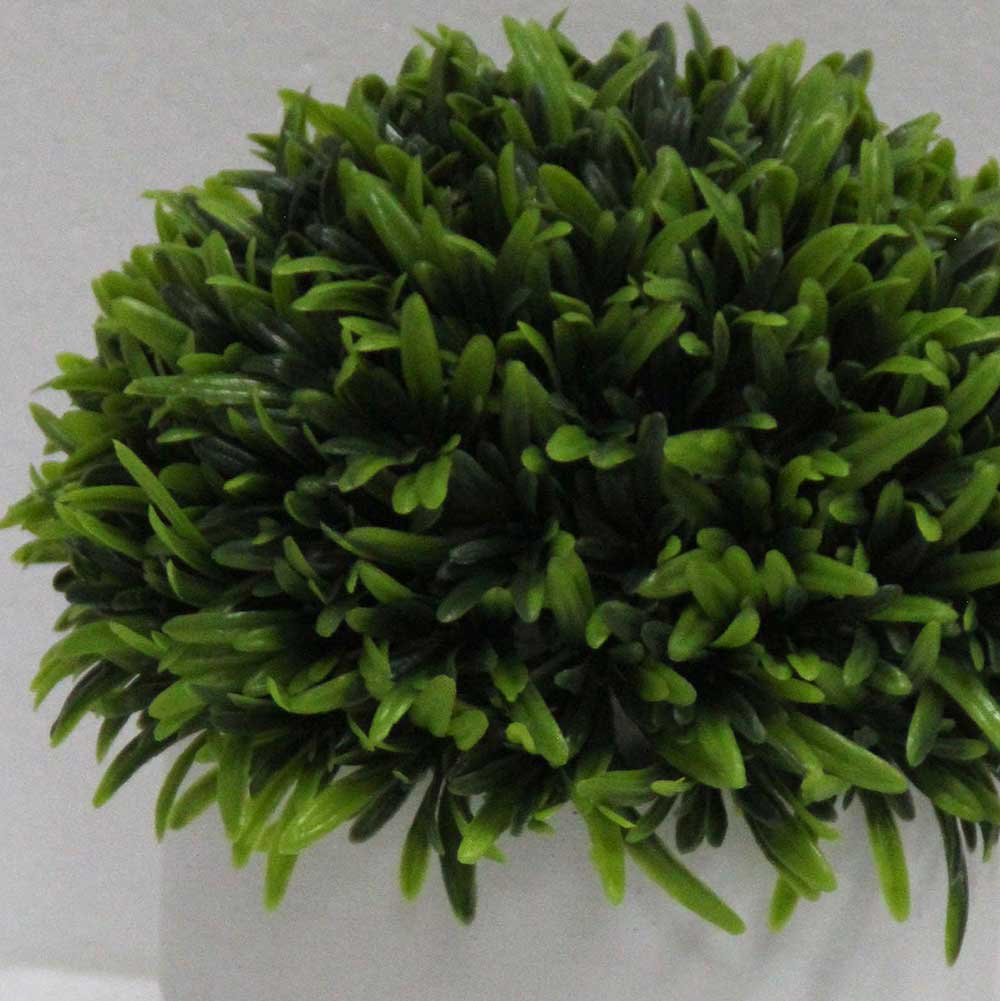 MC2805 Topiary Grass