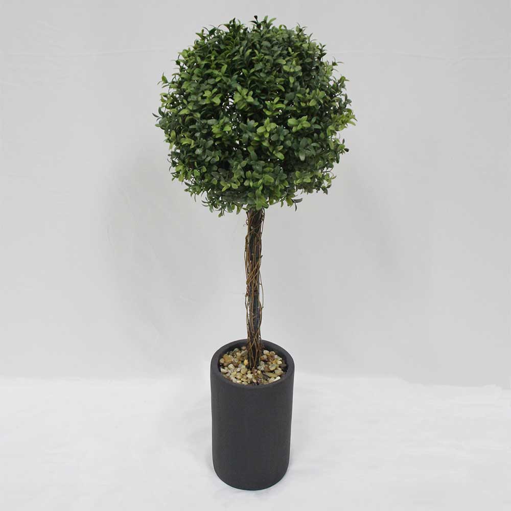 MC2898 Topiary Boxwood