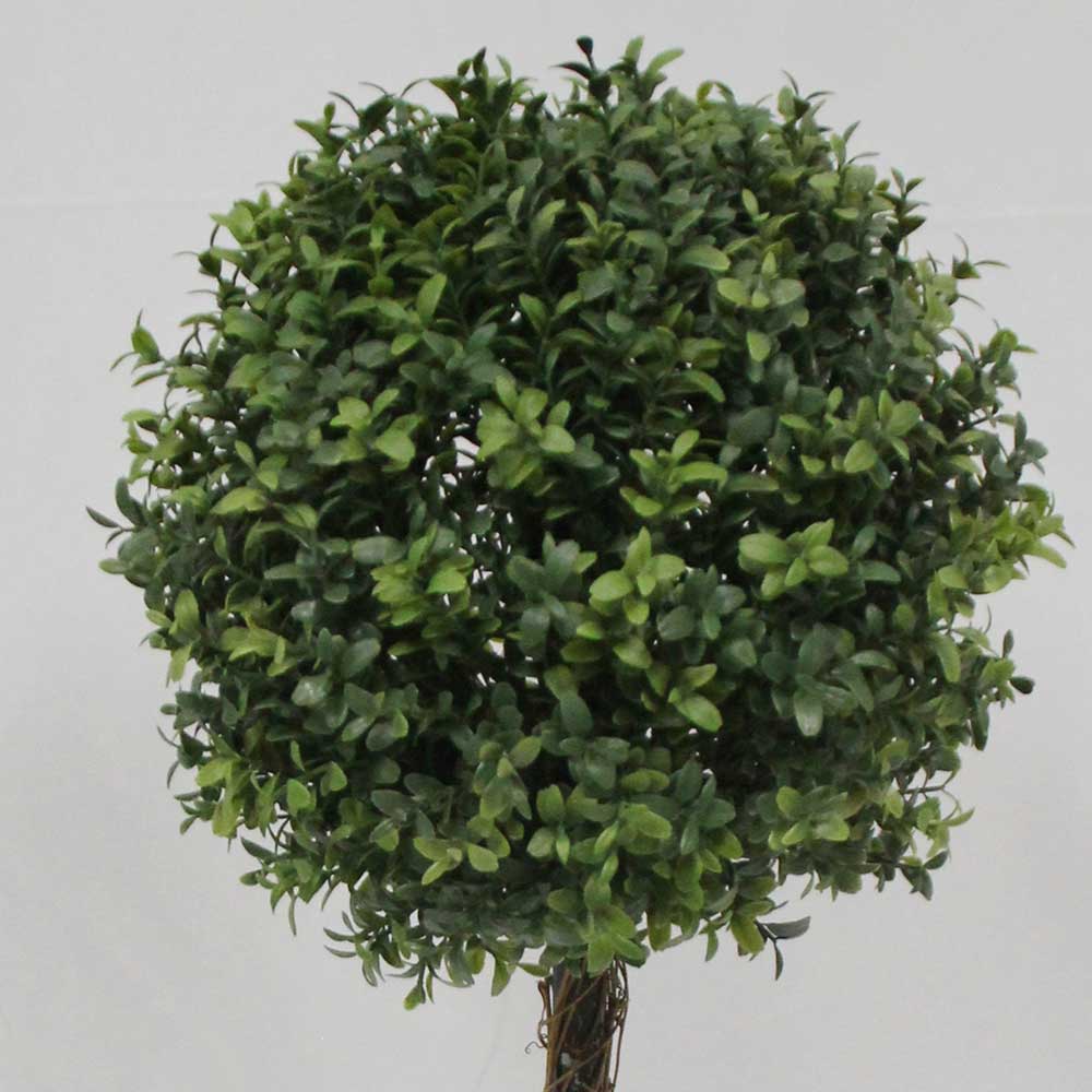 MC2898 Topiary Boxwood