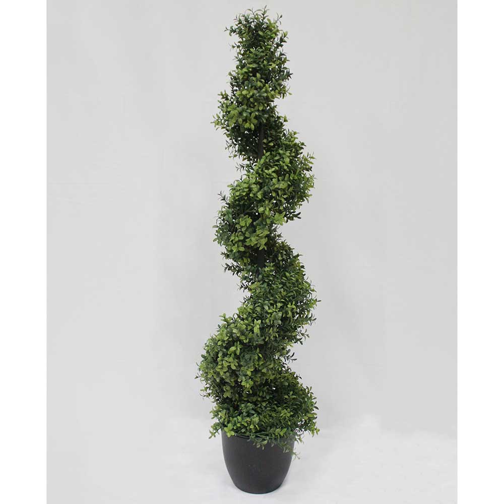 MC2902 Topiary Boxwood