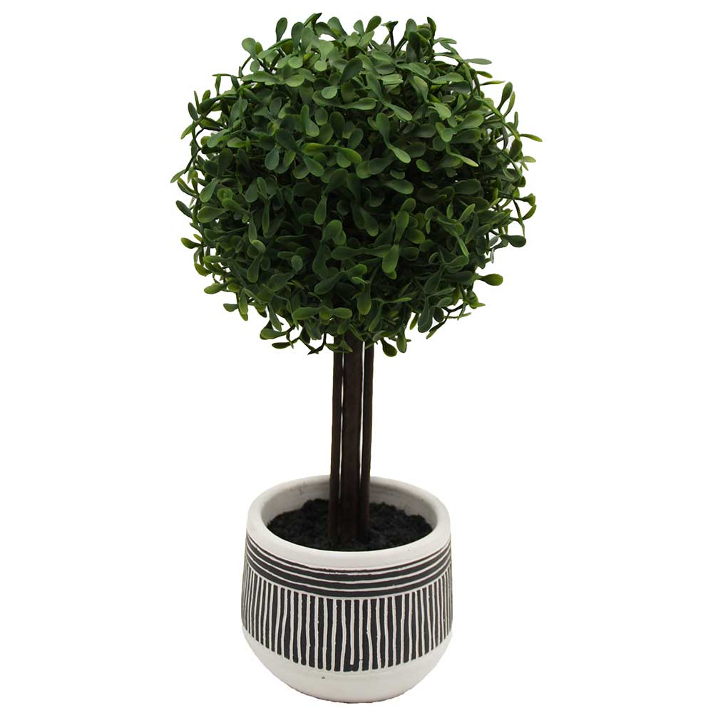 MC3069 Topiary Boxwood