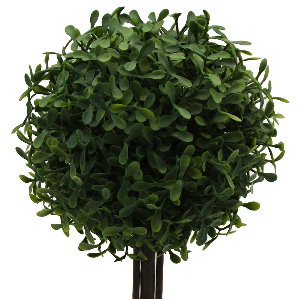 MC3069 Topiary Boxwood