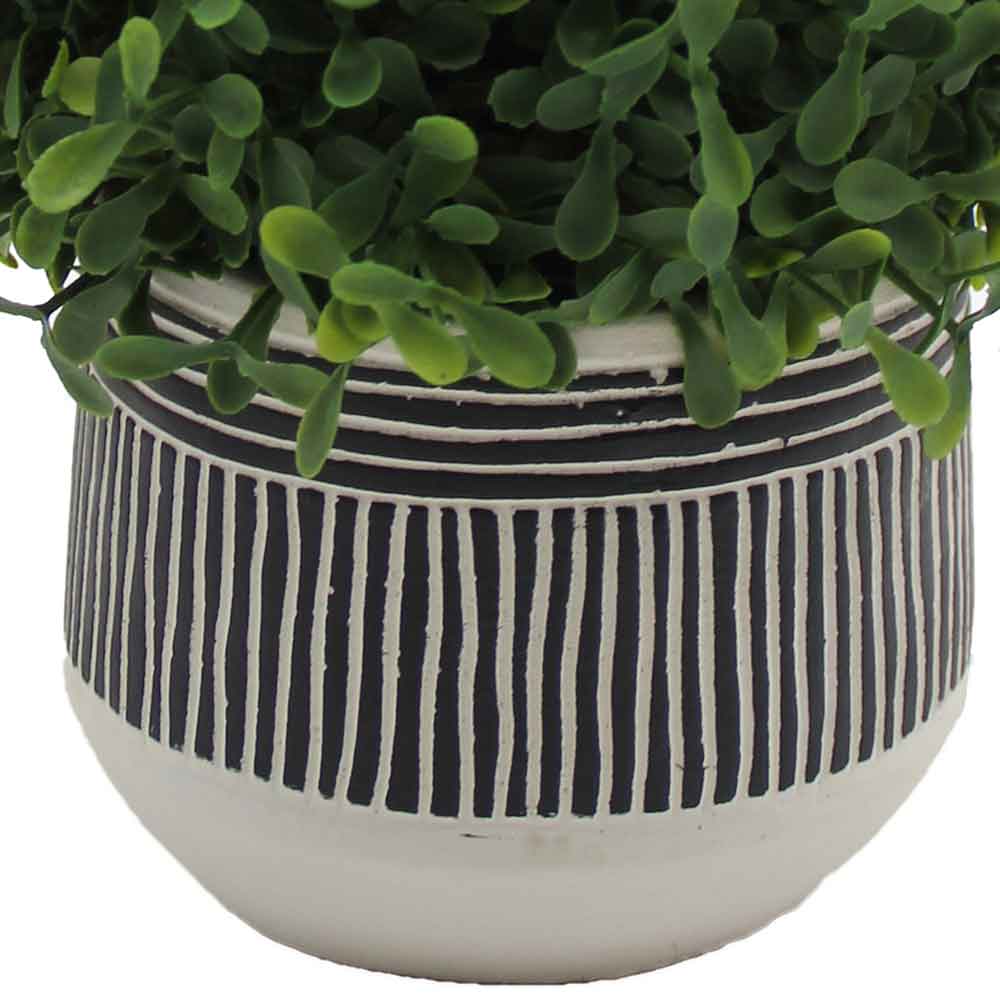 MC3071 Topiary Boxwood