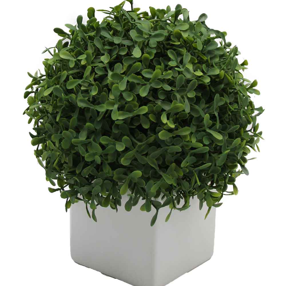 MC3073 Topiary Boxwood