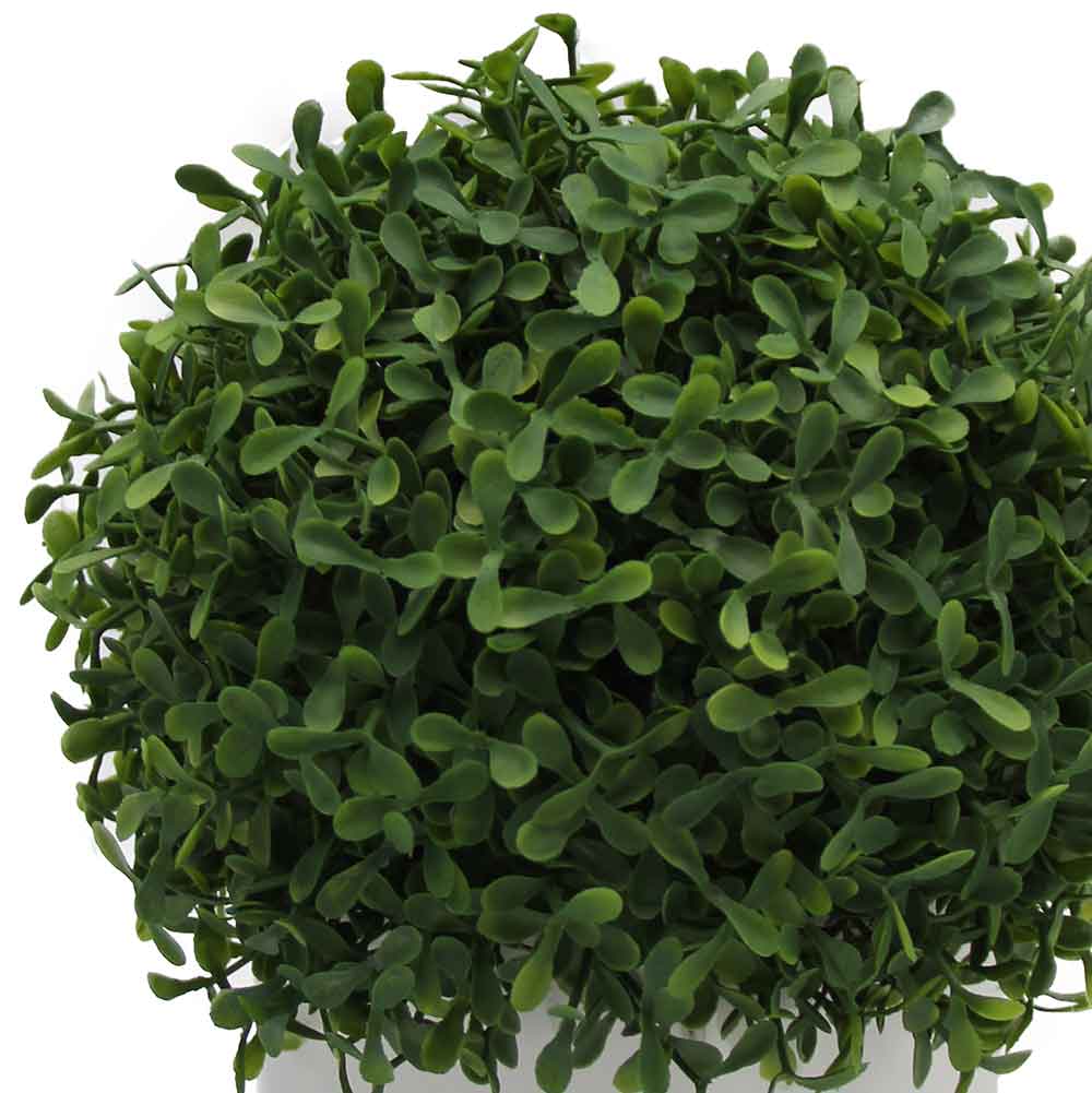 MC3073 Topiary Boxwood