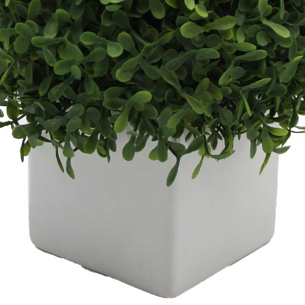 MC3073 Topiary Boxwood