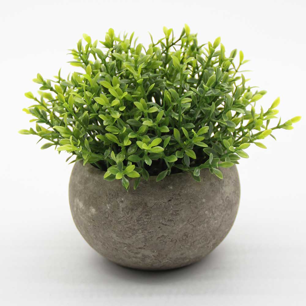 MC2821 Potted Grass