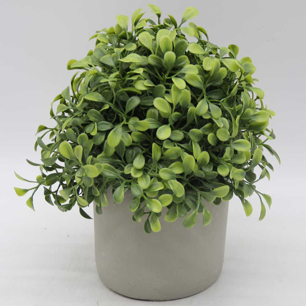 HL0458 Topiary New