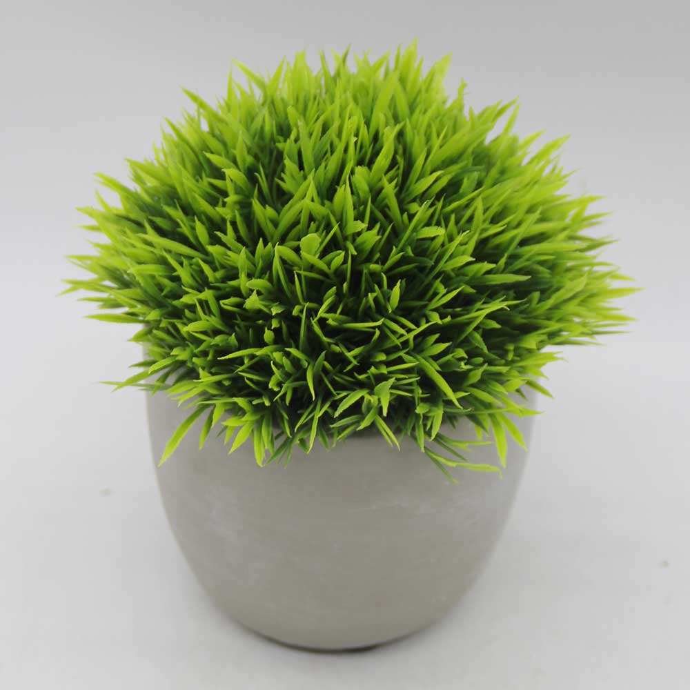 HL0473 Topiary New