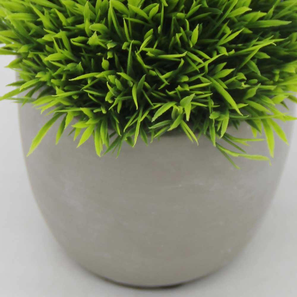 HL0473 Topiary New