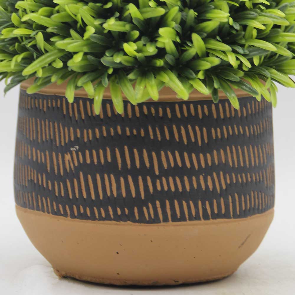 HL0486 Topiary New