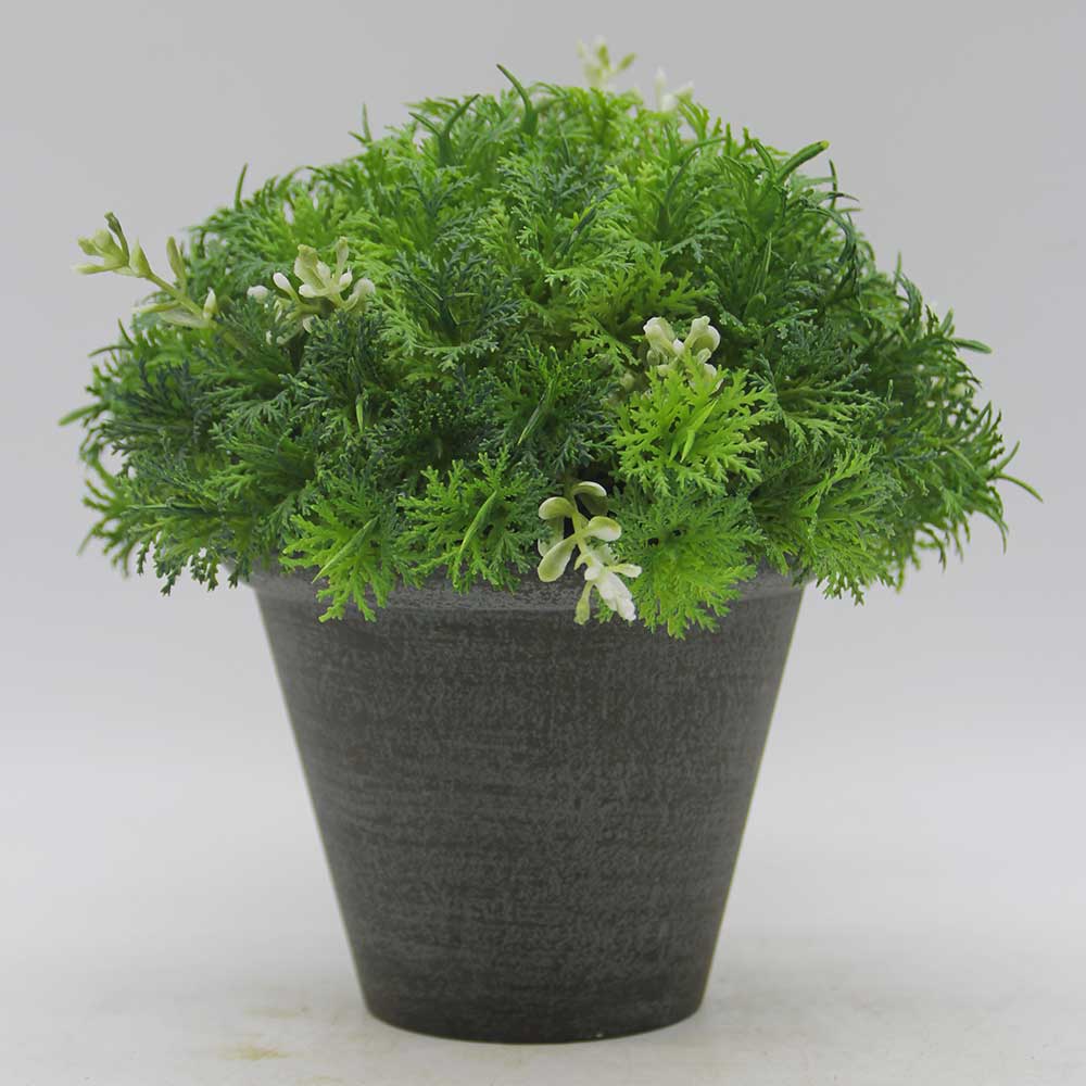 HL0493 Topiary New