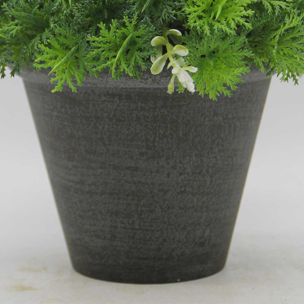 HL0493 Topiary New