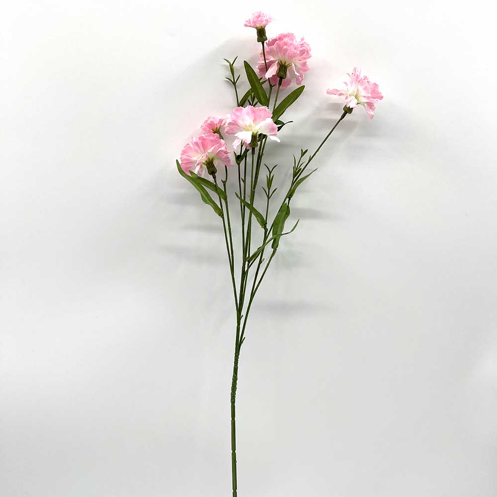 MC22-04036 Carnation Stem