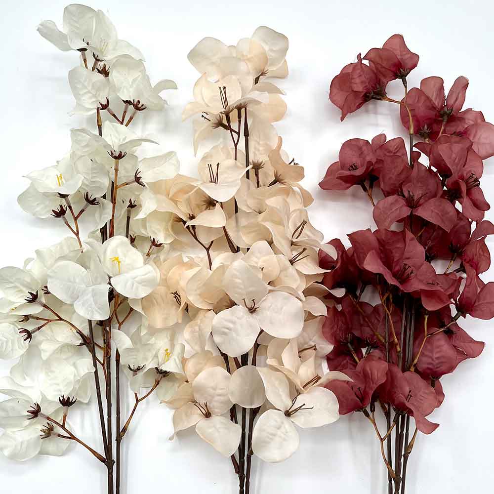 MC22-04042 Bougainvillea Stem