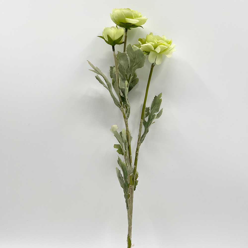 MC22-04066 3-Stem Ranunculus