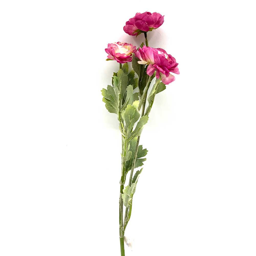 MC22-04066 3-Stem Ranunculus