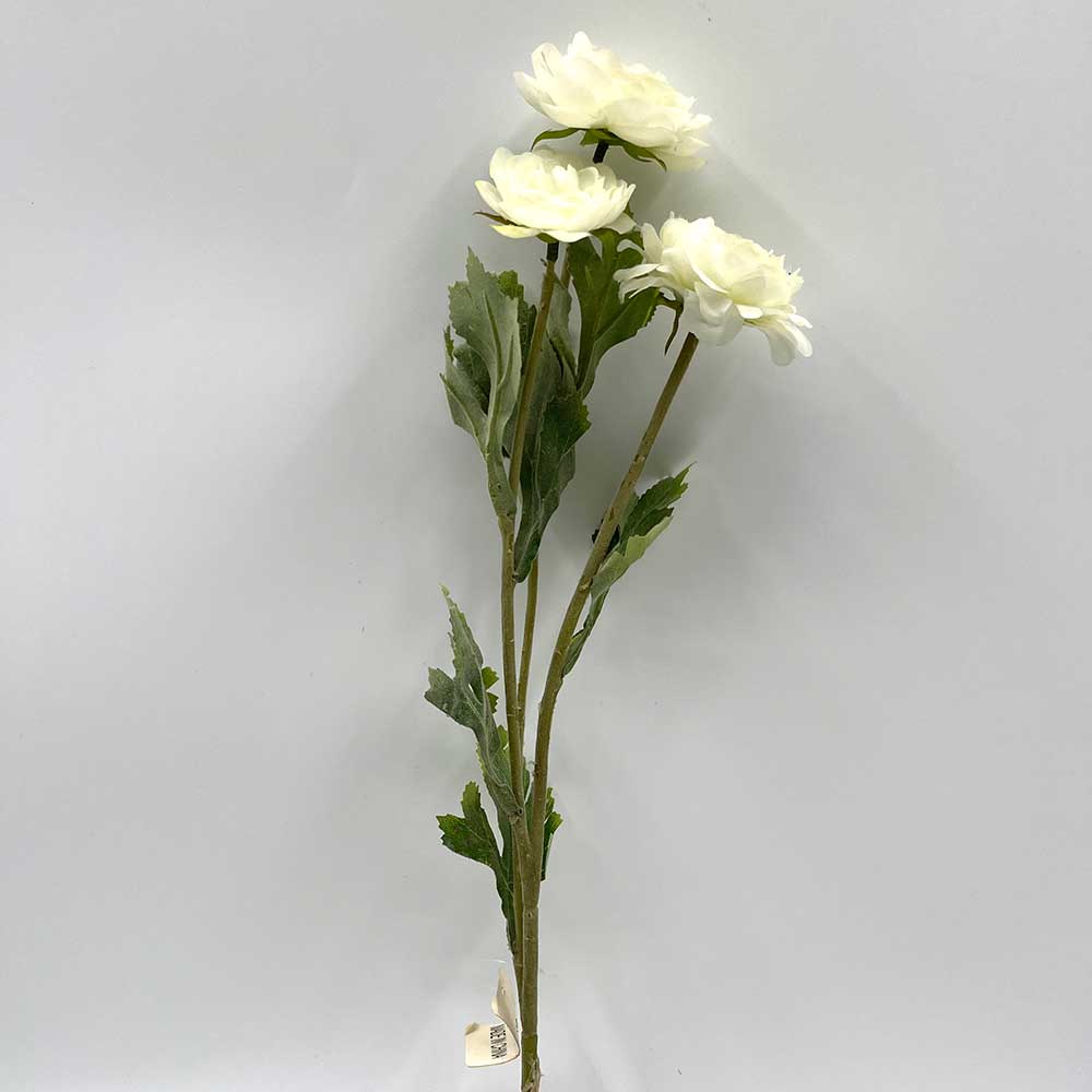 MC22-04066 3-Stem Ranunculus