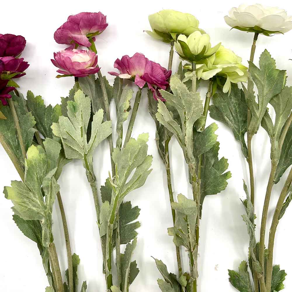 MC22-04066 3-Stem Ranunculus