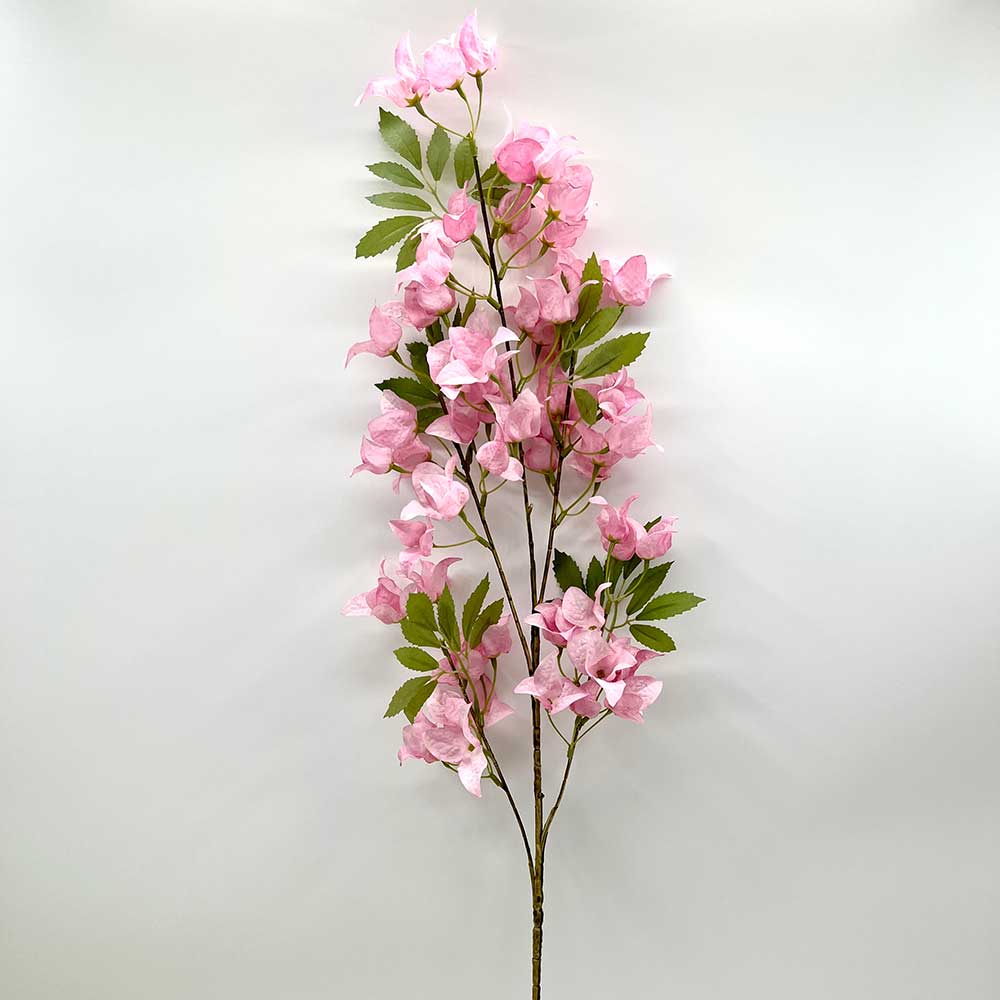 MC22-04116 Bougainvillea Stem