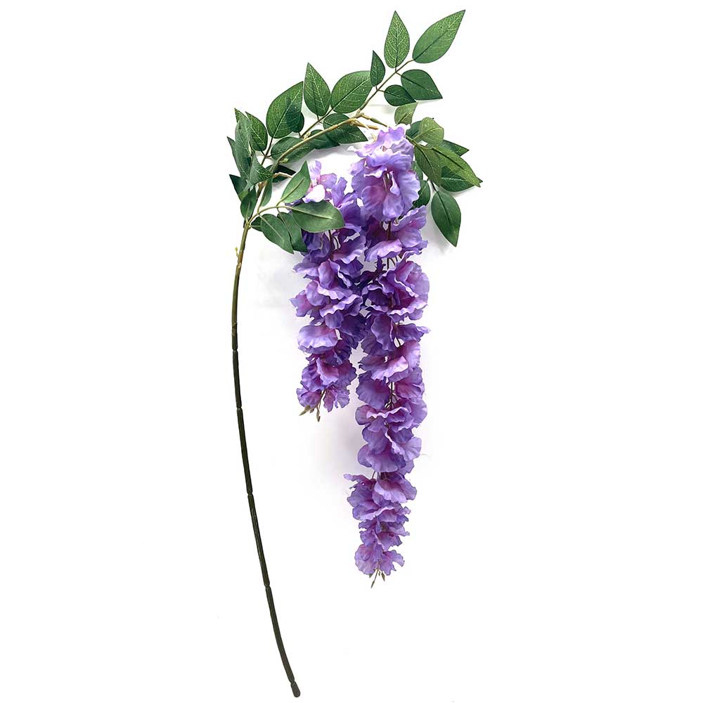 MC22-04147 Wisteria Stem