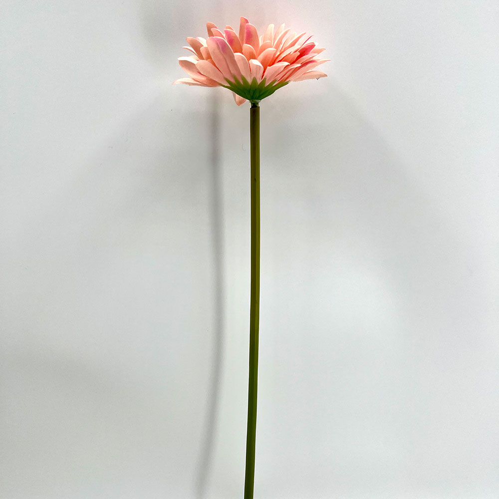 MC22-04183 Gerbera Stem