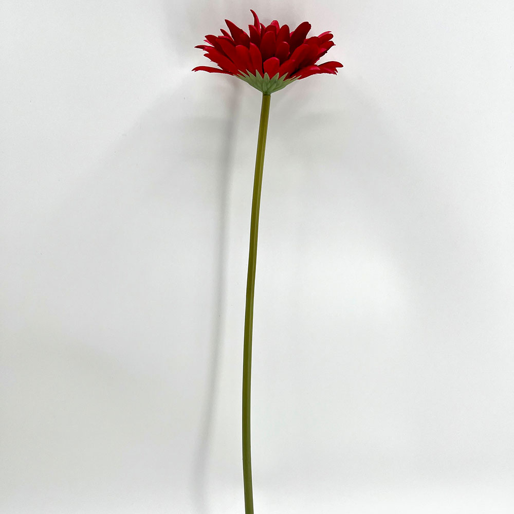 MC22-04183 Gerbera Stem