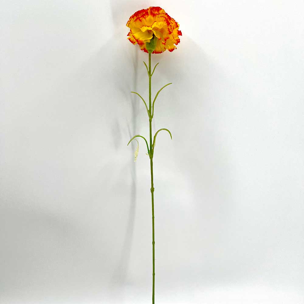 MC22-04190 Single Carnation