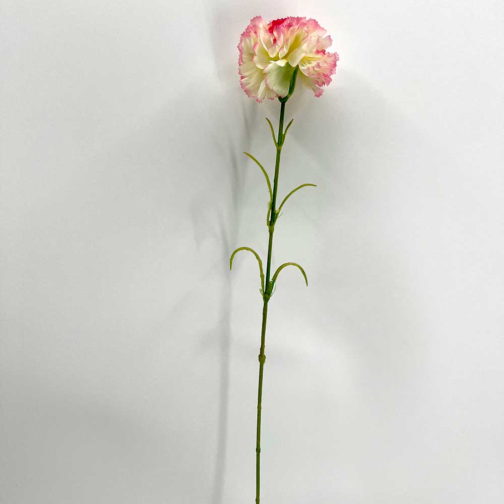 MC22-04190 Single Carnation