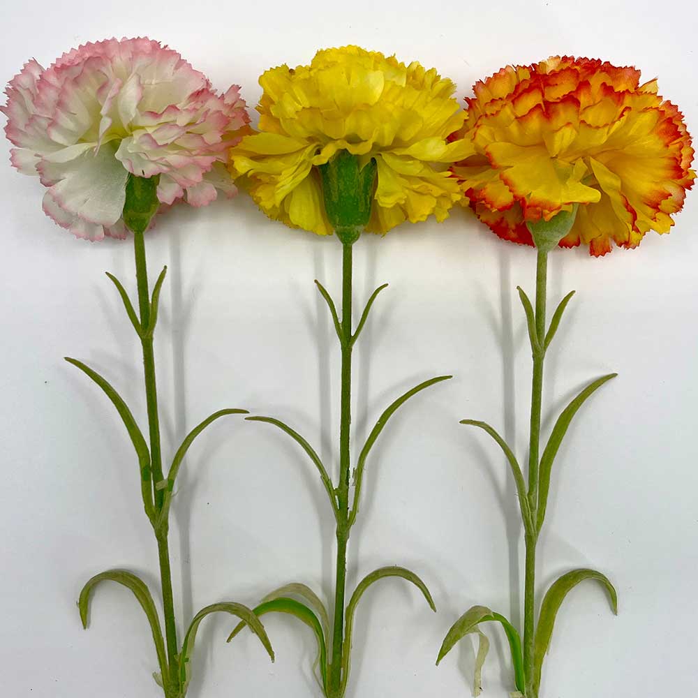 MC22-04190 Single Carnation