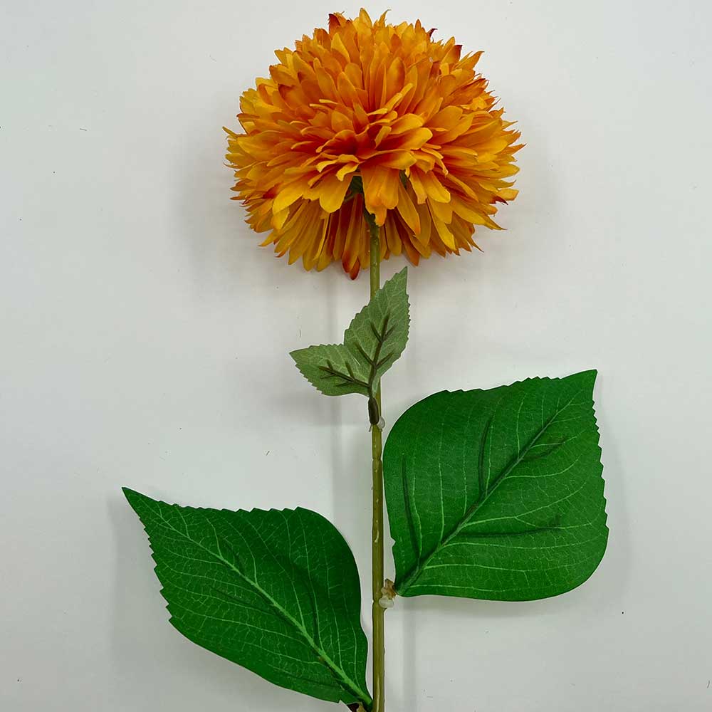 MC22-04171 Chrysanthemum