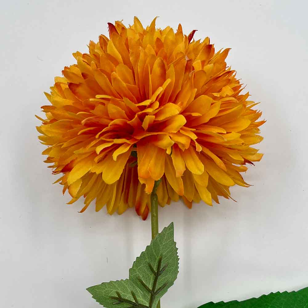 MC22-04171 Chrysanthemum