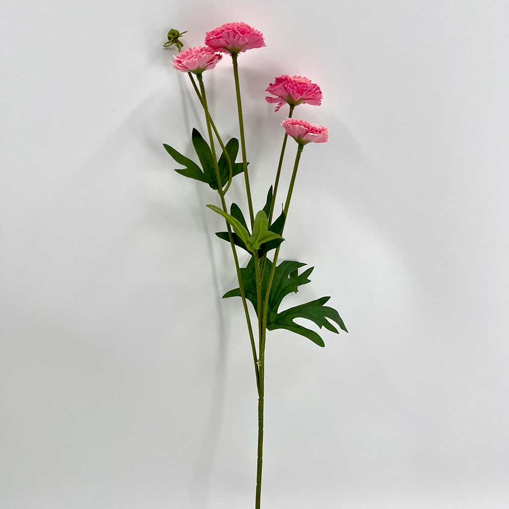 MC22-04187 5-Branch Carnation