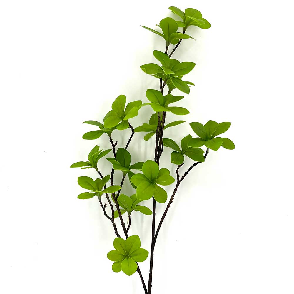 MC22-04205 Enkianthus Stem