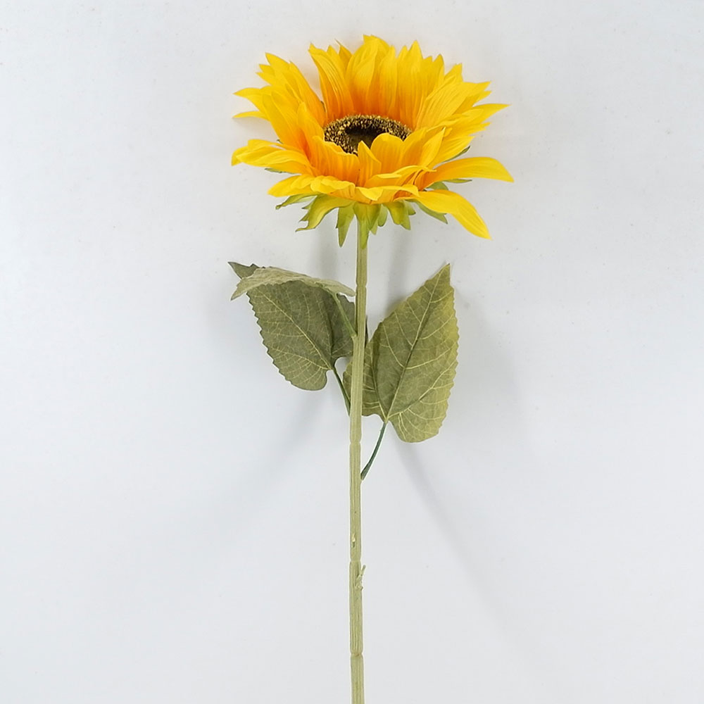 MC21-10432 Sunflower stem