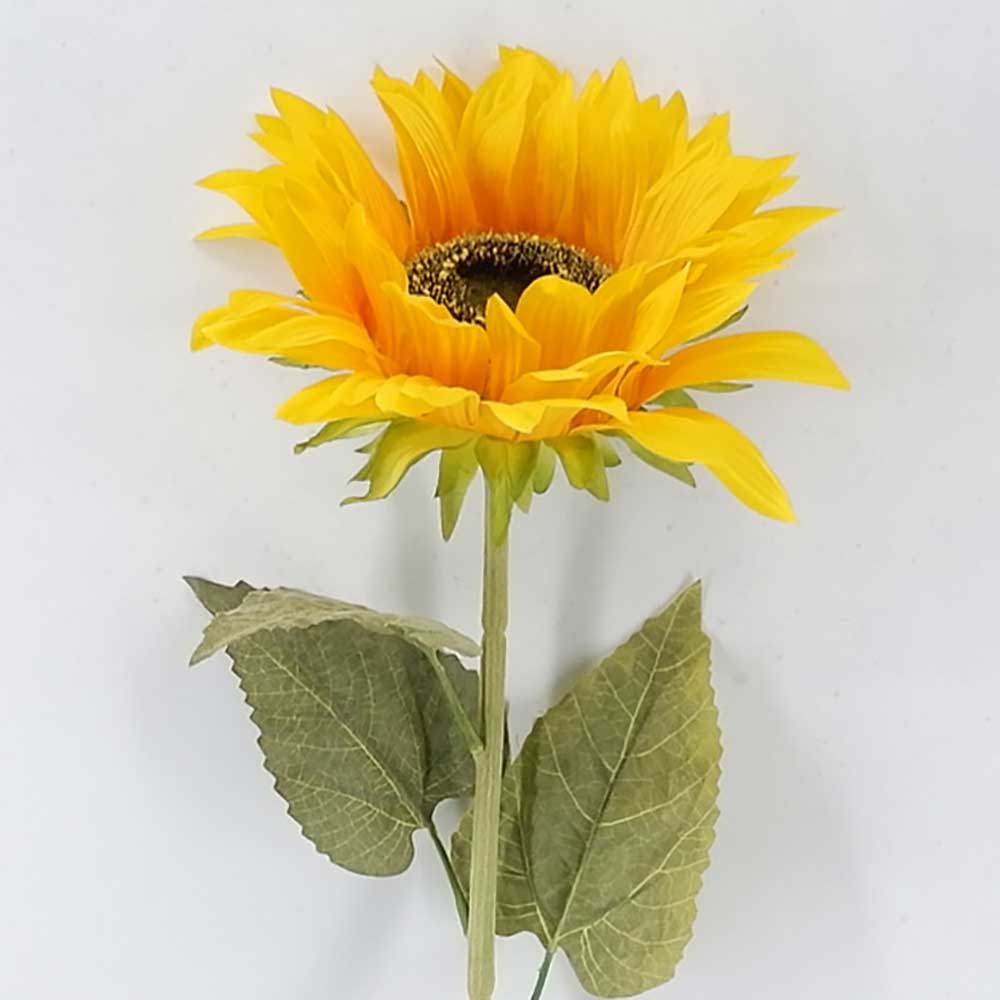 MC21-10432 Sunflower stem