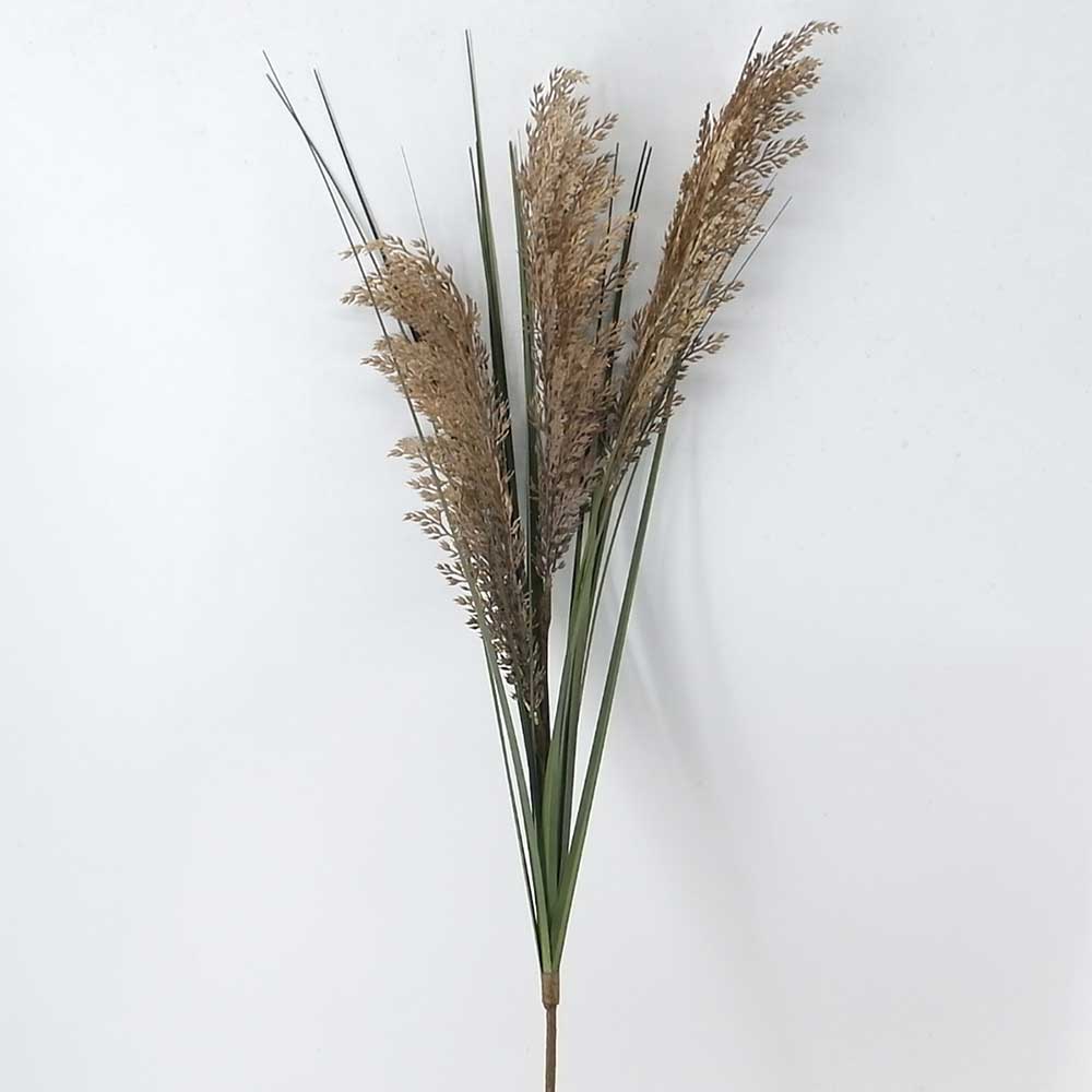 MC21-10637 Wheat stem