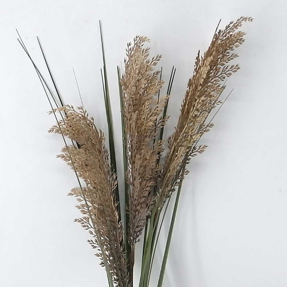 MC21-10637 Wheat stem