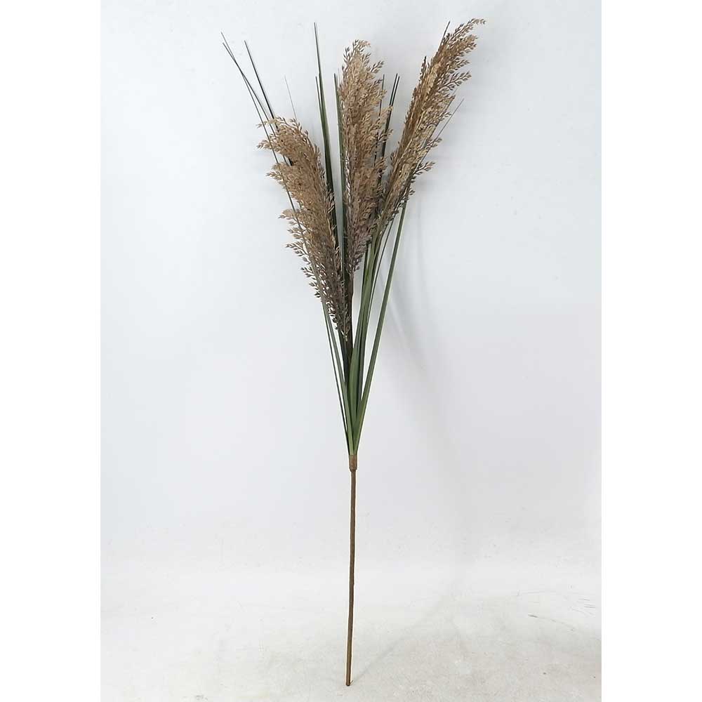 MC21-10637 Wheat stem