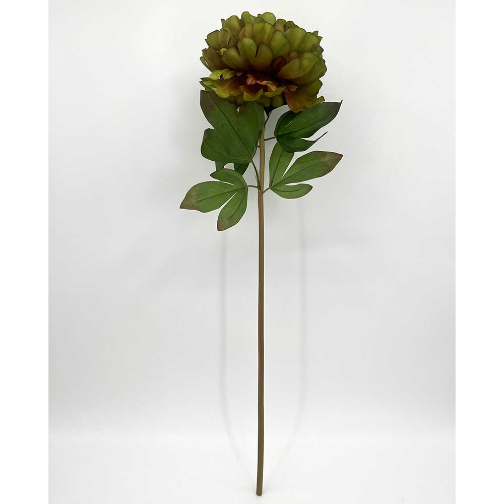 MC22-04228 Autumn Paeonia Stem