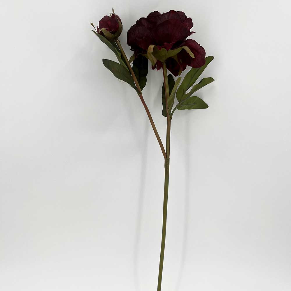 MC22-04229 Autumn Paeonia Stem