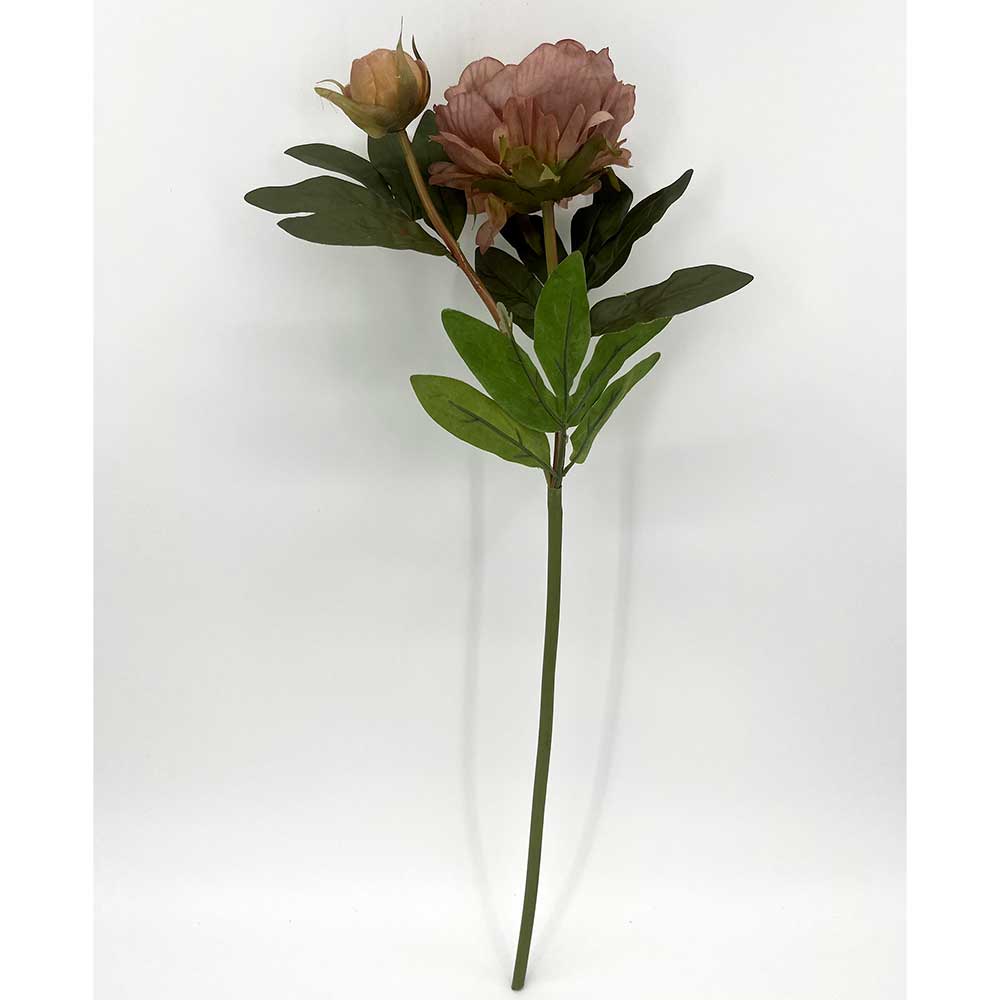 MC22-04229 Autumn Paeonia Stem