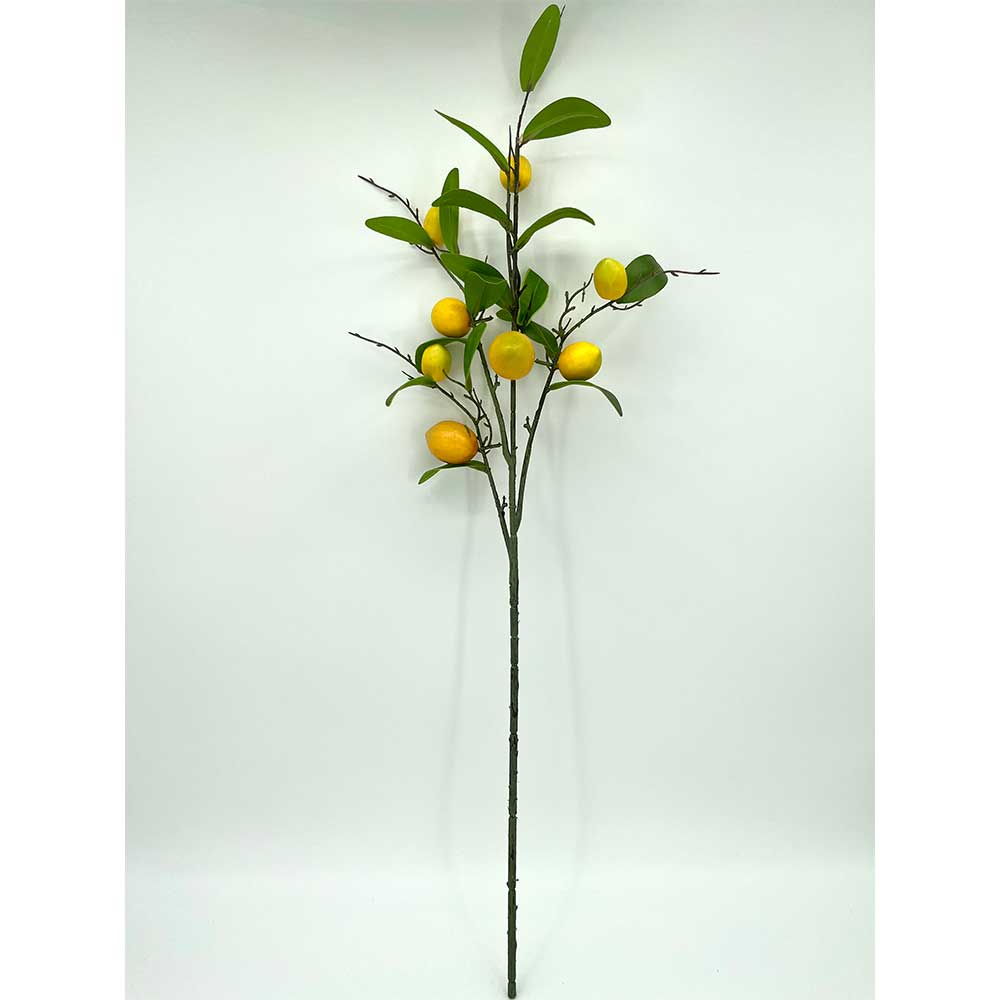 MC22-04232 Lemon Stem