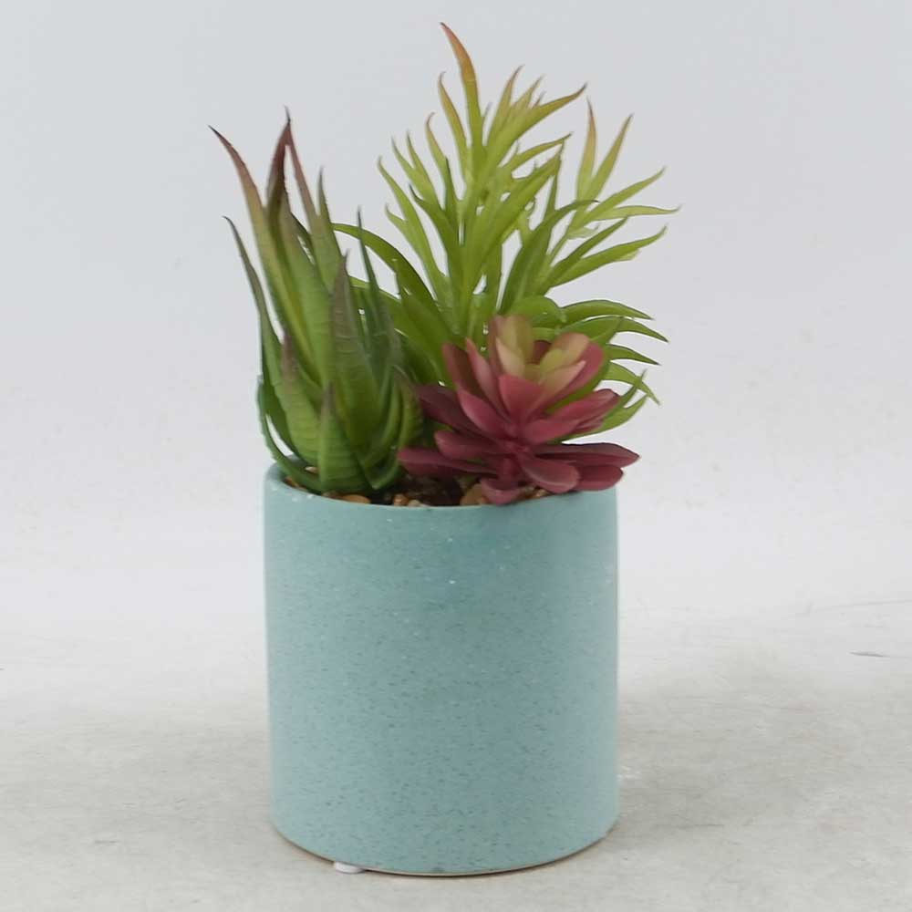 MC21-10939P 9＂H Mixed succulent