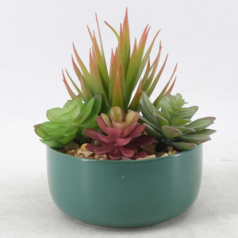 MC21-10934P 8＂H Mixed succulent