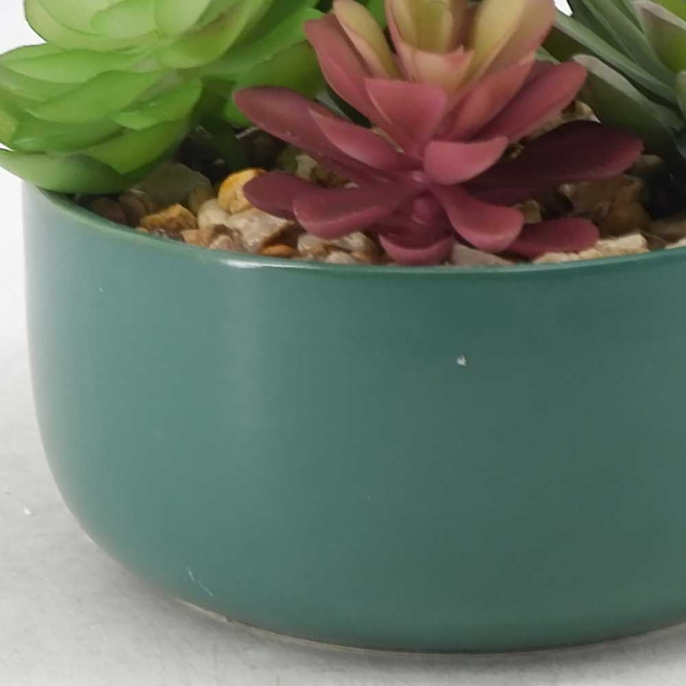 MC21-10934P 8＂H Mixed succulent