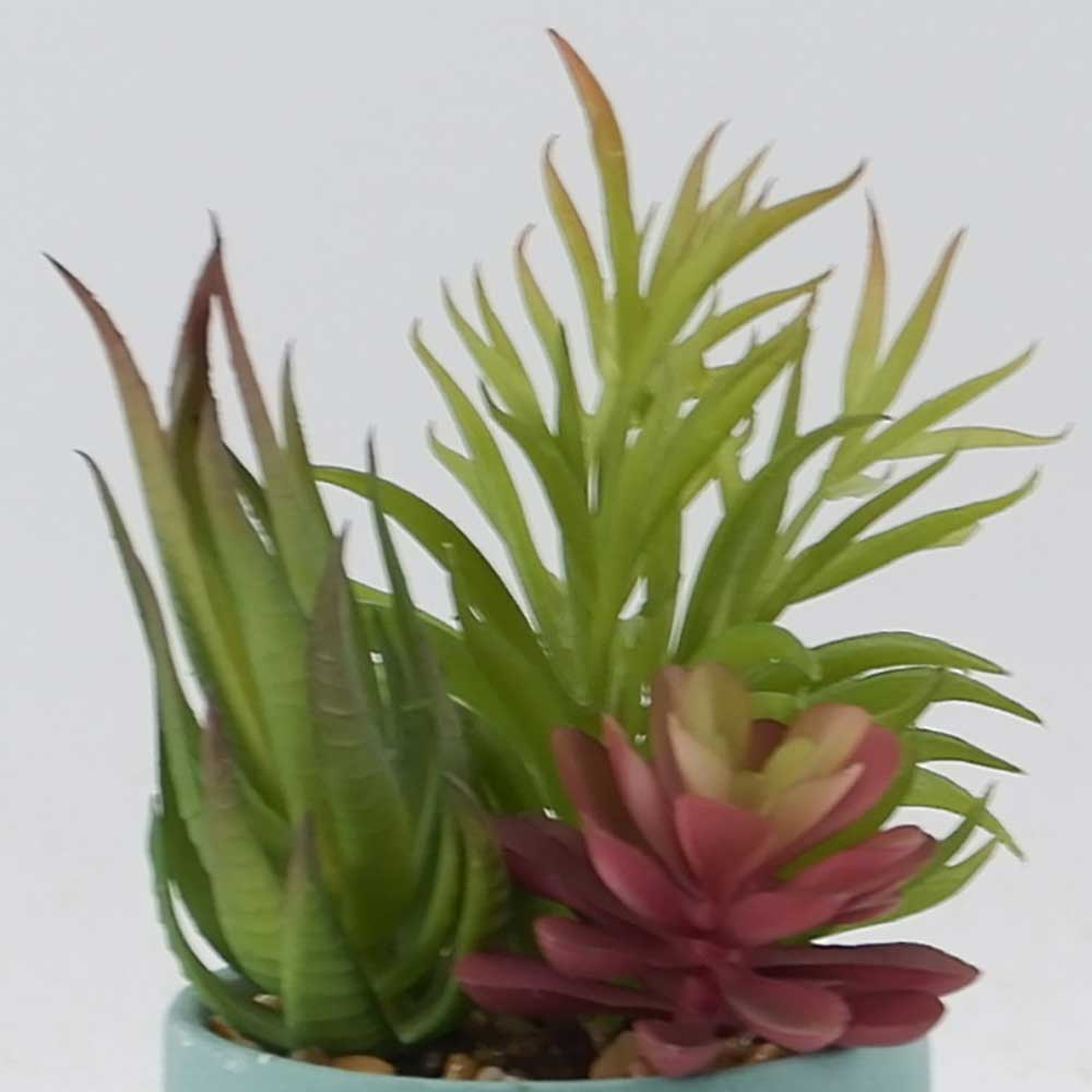 MC21-10939P 9＂H Mixed succulent