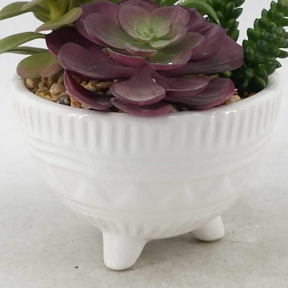 MC21-11005P 8.5＂H Succulent