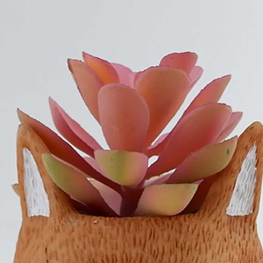 MC22-11879SZ 5＂H Succulent in resin pot