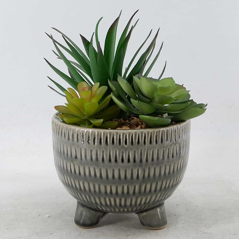 MC22-12126P 8.5＂H Succulent